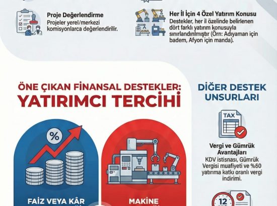 Yatırımlarınıza Güçlü Devlet Desteği: Yerel Kalkınma Hamlesi Başladı!