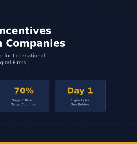 How Foreign IT & Gaming Companies Can Access Turkey’s State Incentive Ecosystem (2026 Guide)