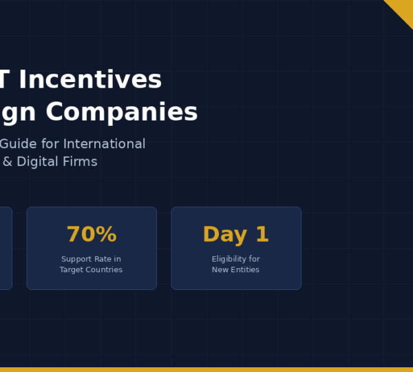 Turkey IT incentives for foreign companies 2026 guide by Protesvik