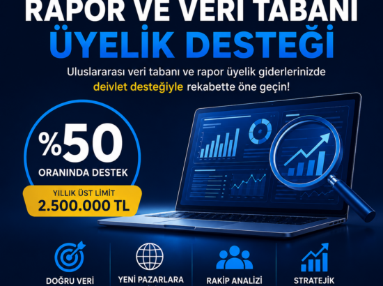 Bilişim Şirketleri için Rapor ve Veri Tabanı Üyelik Desteği