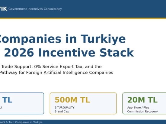 How Foreign AI Companies Access Türkiye’s Incentive Stack in 2026: From 0% Service Export Tax to App Store Commission Recovery