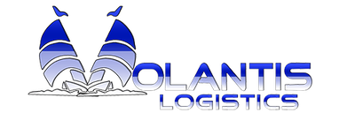 Volantis Logistics — Proteşvik referansı