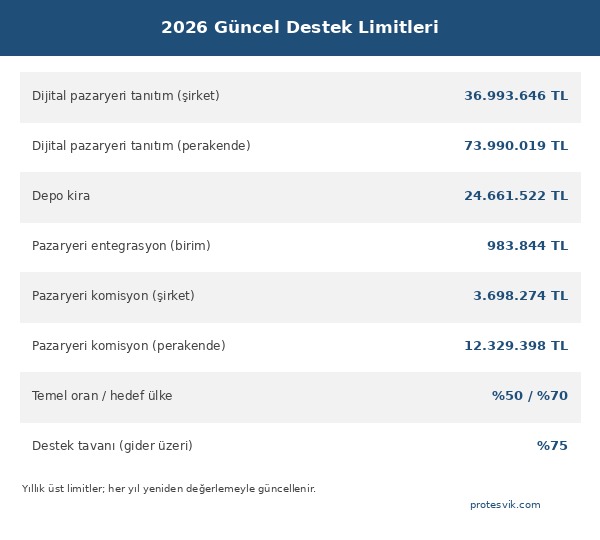 E-ihracat destekleri 2026 güncel limitleri, dijital pazaryeri tanıtım, depo kira ve komisyon üst limitleri